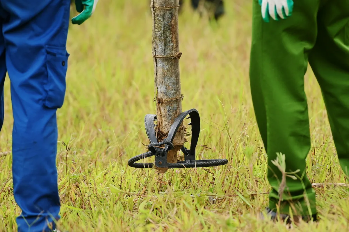 Chiến sĩ quả cảm - Tập 13: Tái hiện đại án chấn động một thời - Ảnh 7.