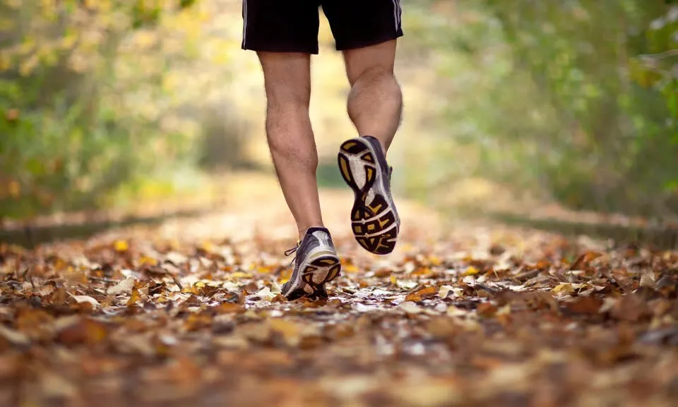 Chạy bộ mùa thu: 5 quy tắc vàng giúp bạn khỏe mạnh và dẻo dai hơn - Ảnh 1.
