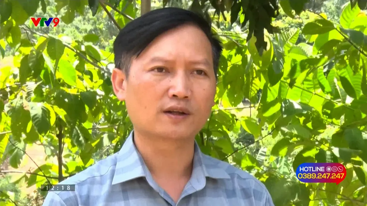 2010-PNHN-HẢI.jpg