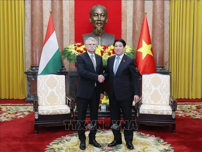 Chủ tịch nước Lương Cường tiếp Chủ tịch Quốc hội Hungary - Ảnh 1.