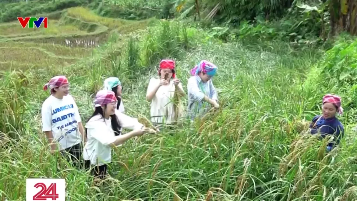 Những người phụ nữ bình thường mà phi thường- Ảnh 11. Những người phụ nữ bình thường mà phi thường- Ảnh 11.