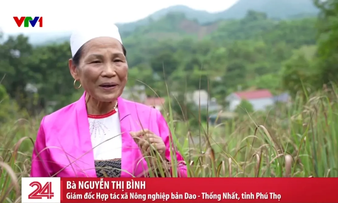 Những người phụ nữ bình thường mà phi thường- Ảnh 5. Những người phụ nữ bình thường mà phi thường- Ảnh 5.