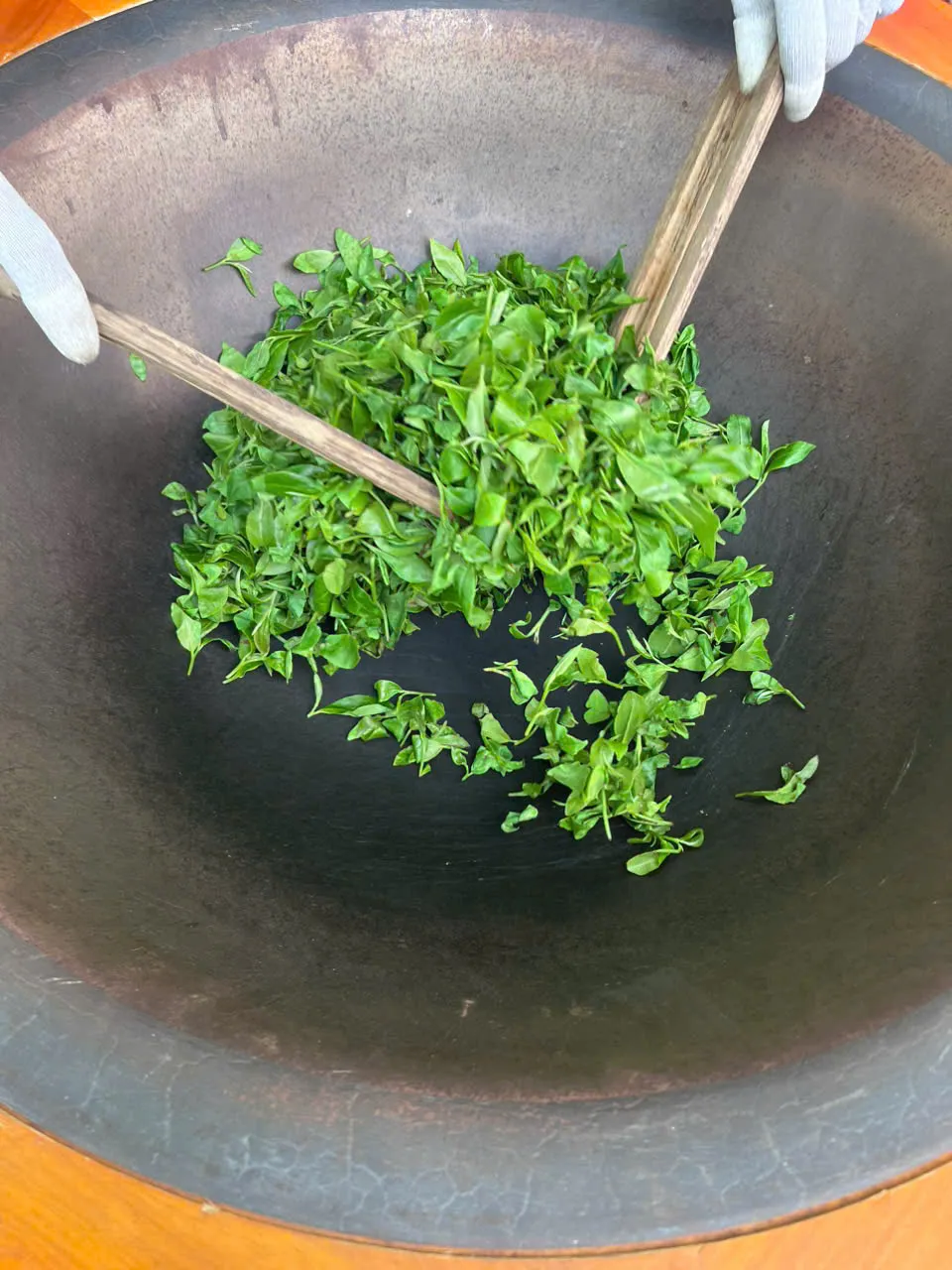 Đưa di sản Trà Việt chạm đến thế hệ trẻ - Ảnh 3.