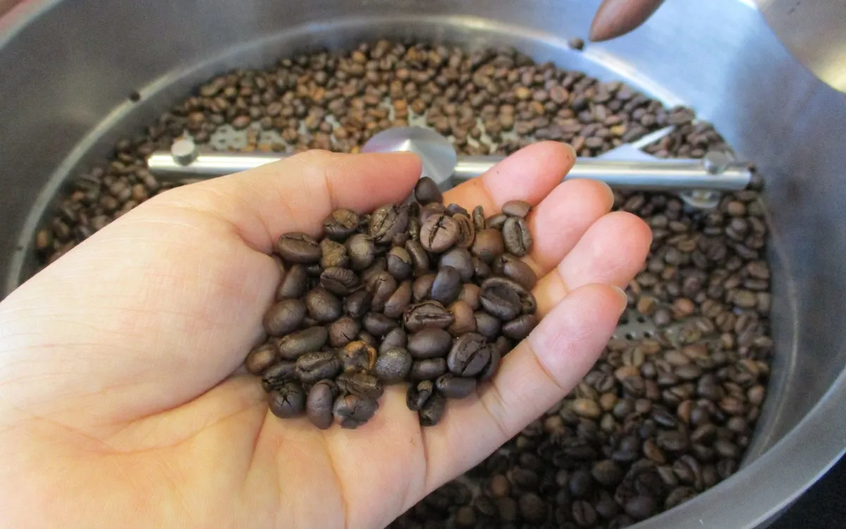 Ngành cà phê rang tại Mỹ gặp khó do thuế quan Ngành cà phê rang tại Mỹ gặp khó do thuế quan
