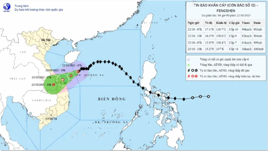 Bão số 12 cách TP Đà Nẵng khoảng 280 km - Ảnh 1.
