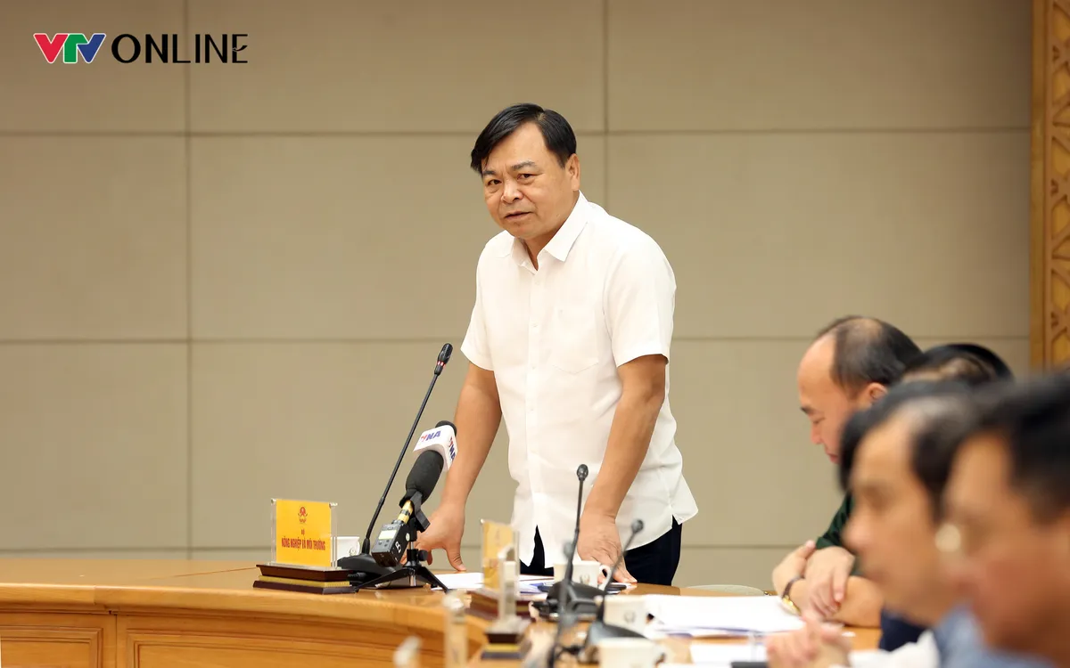 Ph&oacute; Thủ tướng y&ecirc;u cầu ứng ph&oacute; b&atilde;o số 12 cần: Đổi mới dự b&aacute;o, chủ động ứng ph&oacute; - Ảnh 2.