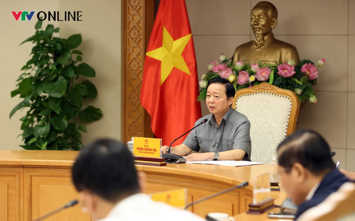 Ph&oacute; Thủ tướng y&ecirc;u cầu ứng ph&oacute; b&atilde;o số 12 cần: Đổi mới dự b&aacute;o, chủ động ứng ph&oacute; - Ảnh 1.