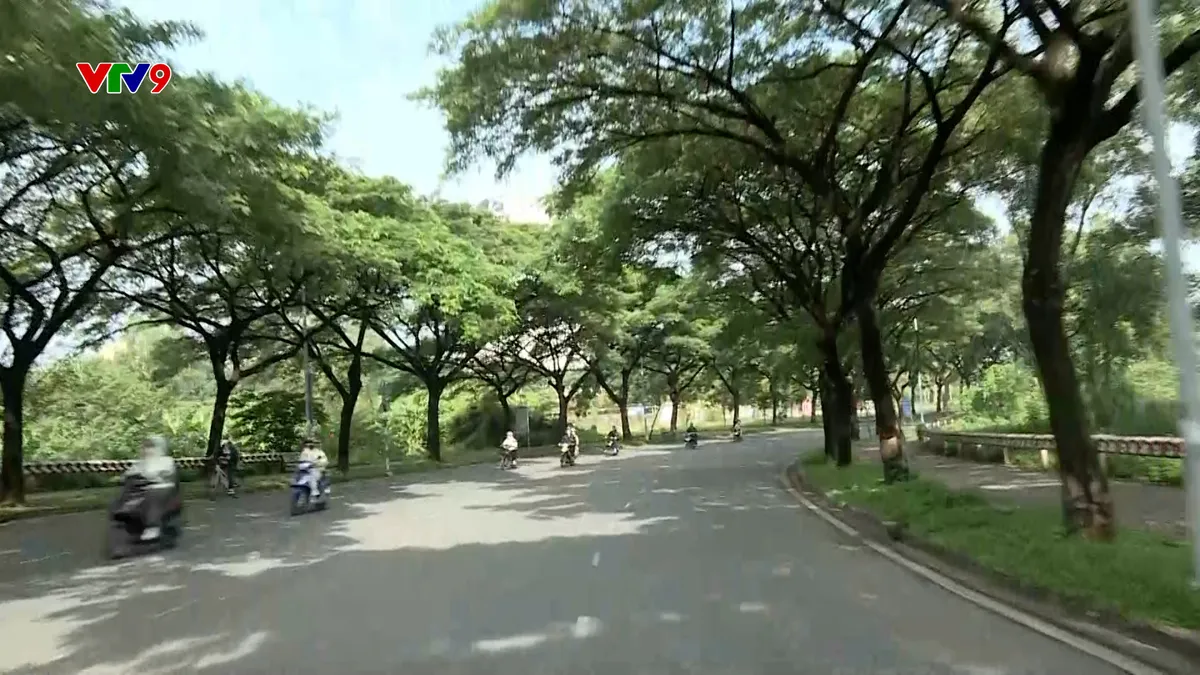 2410-PNHN-.LANG DAI HOC.jpg