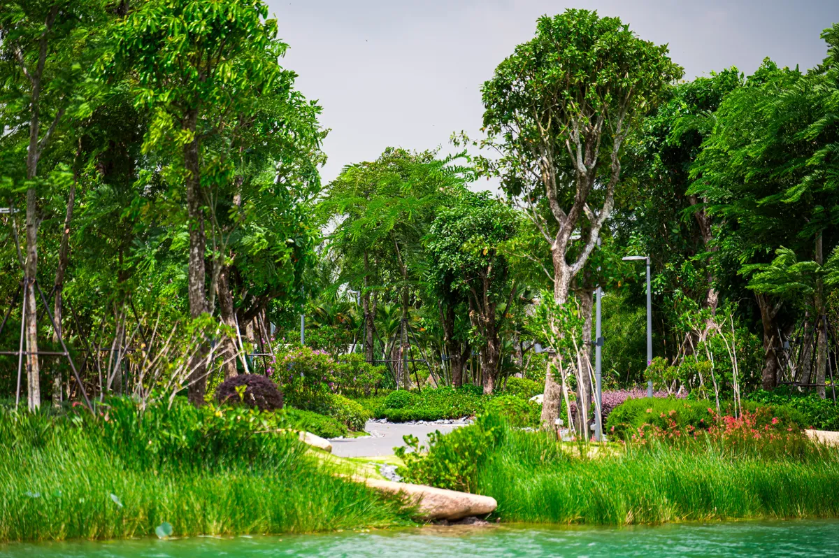 Khi thiên nhiên trở thành liệu pháp phục hồi, tái tạo cơ thể- Ảnh 1. Khi thiên nhiên trở thành liệu pháp phục hồi, tái tạo cơ thể- Ảnh 1.