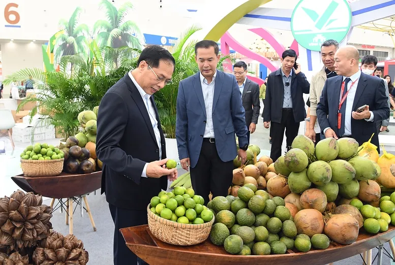 Phó Thủ tướng Bùi Thanh Sơn kiểm tra tiến độ chuẩn bị cho Lễ khai mạc Hội chợ Mùa Thu 2025 - Ảnh 5.