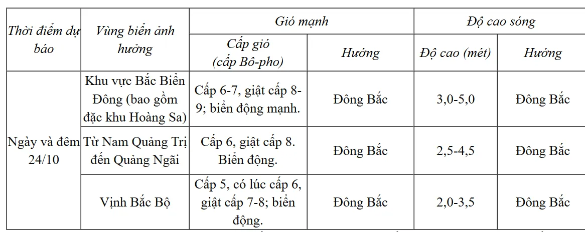 &Aacute;p thấp nhiệt đới suy yếu, cảnh b&aacute;o gi&oacute; mạnh cấp 8-9, s&oacute;ng cao 5m- Ảnh 1.