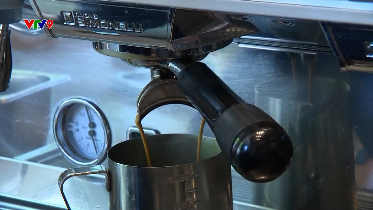 Thương hiệu Việt "ra khơi", không chỉ xuất khẩu nguyên liệu Thương hiệu Việt "ra khơi", không chỉ xuất khẩu nguyên liệu