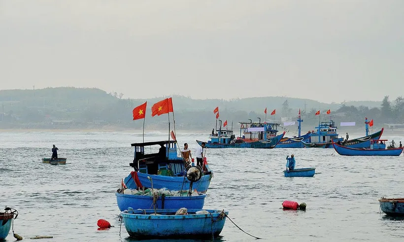 Kinh tế biển Việt Nam hướng tới chuẩn xanh từ nỗ lực gỡ “thẻ vàng” IUU  - Ảnh 2.