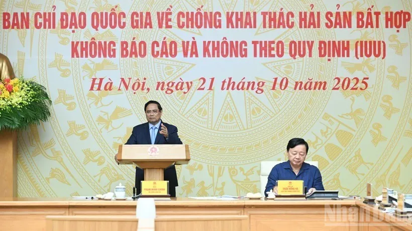 Kinh tế biển Việt Nam hướng tới chuẩn xanh từ nỗ lực gỡ “thẻ vàng” IUU  - Ảnh 1.