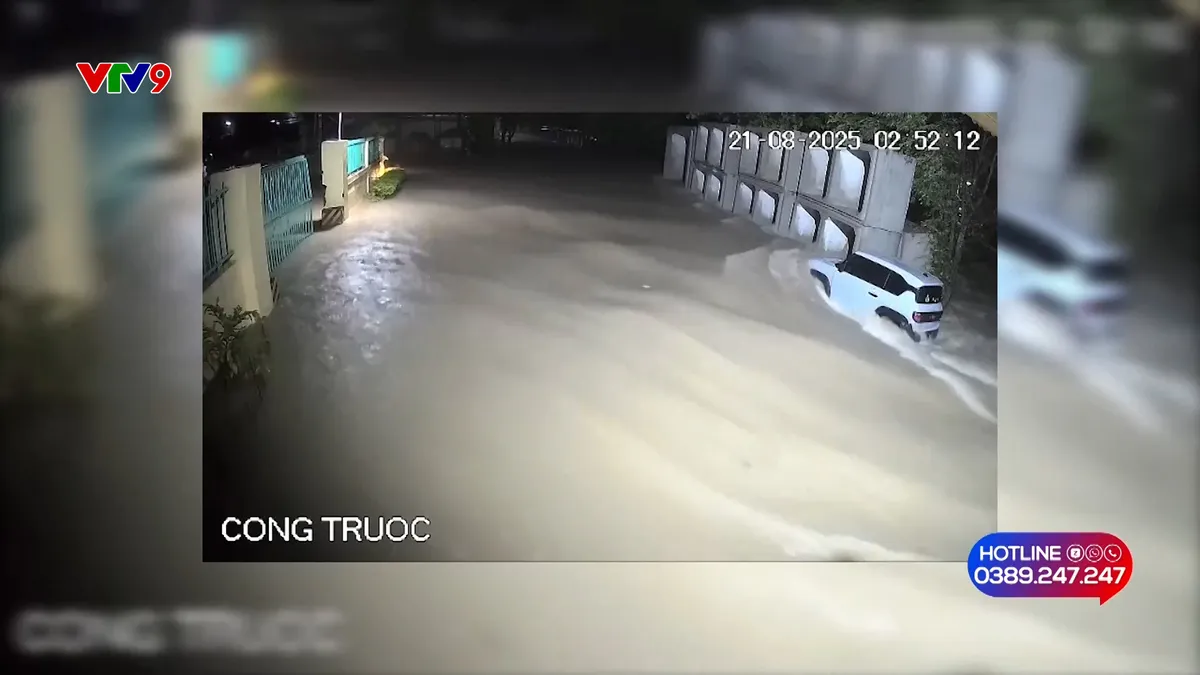 Alo V9 (26/10/2025): Tái khởi động làm đường sau phản ánh của VTV9 Alo V9 (26/10/2025): Tái khởi động làm đường sau phản ánh của VTV9