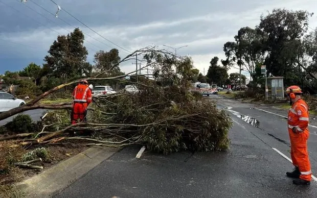 Nhân viên SES dọn dẹp thiệt hại do bão tại vùng ngoại ô phía Tây Melbourne, ngày 26/10/2025 (Ảnh: Wyndham SES)