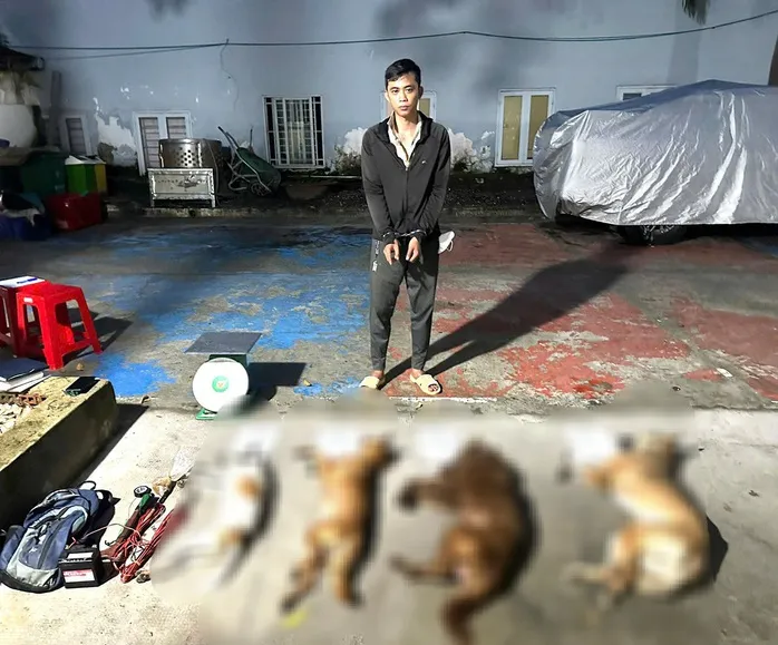 Bắt 4 đối tượng trộm cắp và tiêu thụ chó tại TP Hồ Chí Minh, thu giữ 19 con chó - Ảnh 1.