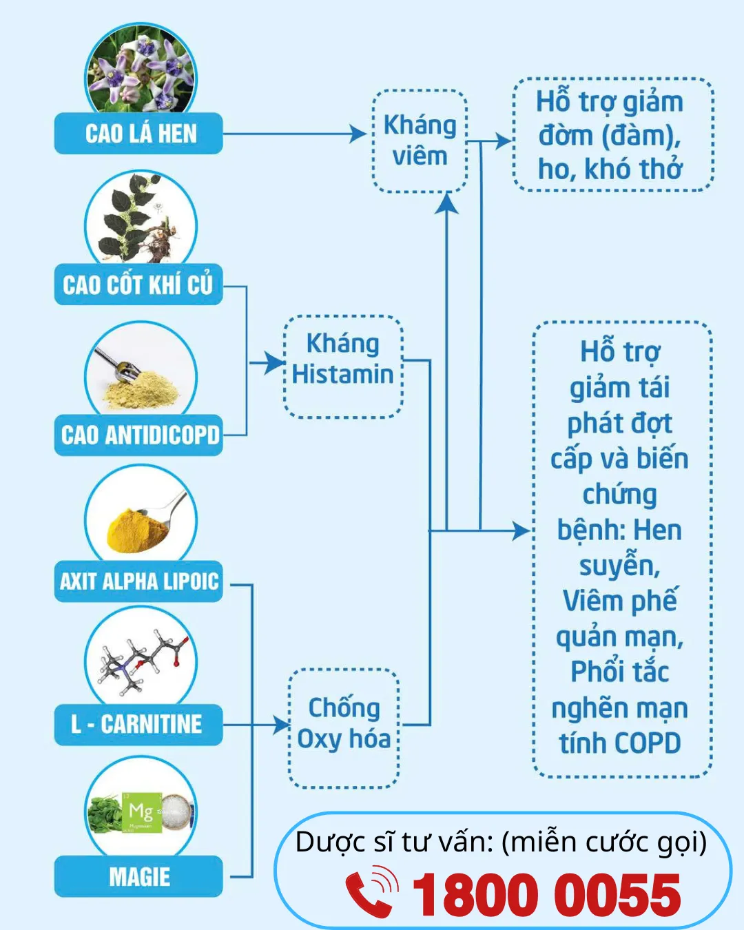 Bảo Khí Khang hỗ trợ 96,7% người dùng giảm đờm, ho, khó thở - Hiệu quả khác biệt!- Ảnh 5. Bảo Khí Khang hỗ trợ 96,7% người dùng giảm đờm, ho, khó thở - Hiệu quả khác biệt!- Ảnh 5.
