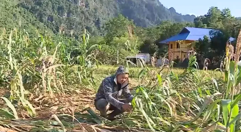 Gian khó chồng chất, người dân vùng lũ nỗ lực gây dựng lại sinh kế - Ảnh 3.