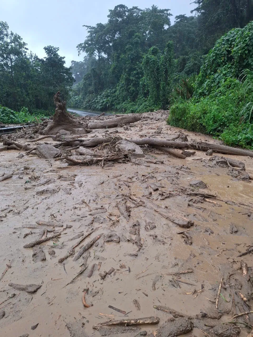 Nhiều địa phương của thành phố Đà Nẵng chủ động cho học sinh nghỉ học do mưa lũ- Ảnh 1.
