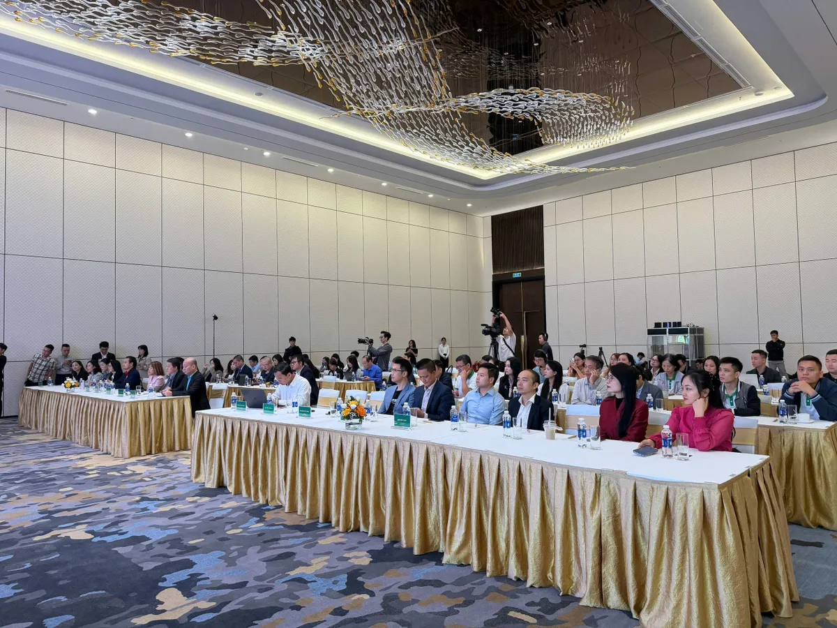 Chuyển đổi số giúp doanh nghiệp Việt vươn ra toàn cầu  - Ảnh 4.