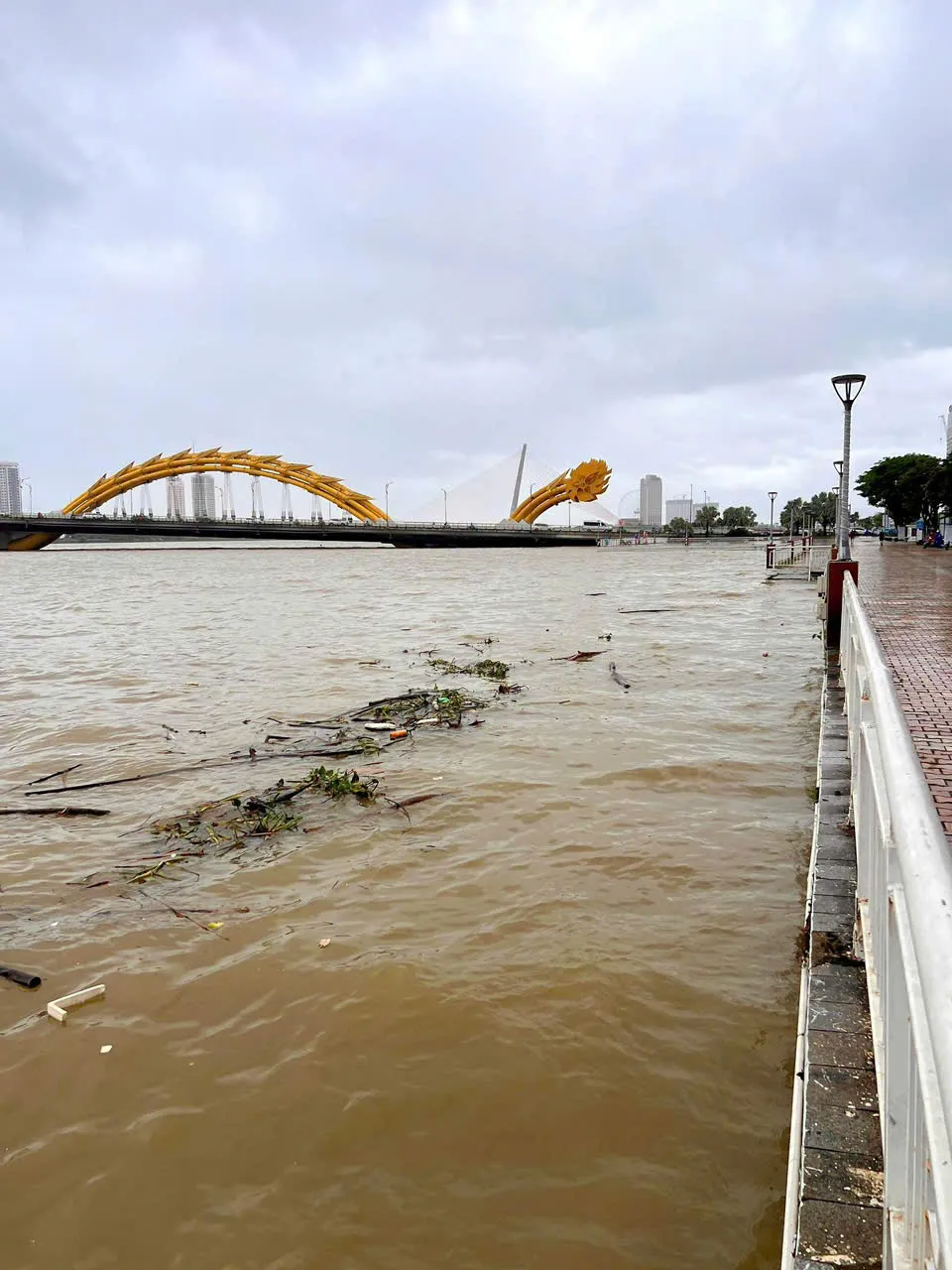 Đà Nẵng : Sơ tán dân vùng lũ, bảo đảm an toàn trong mưa lớn kéo dài. - Ảnh 2.