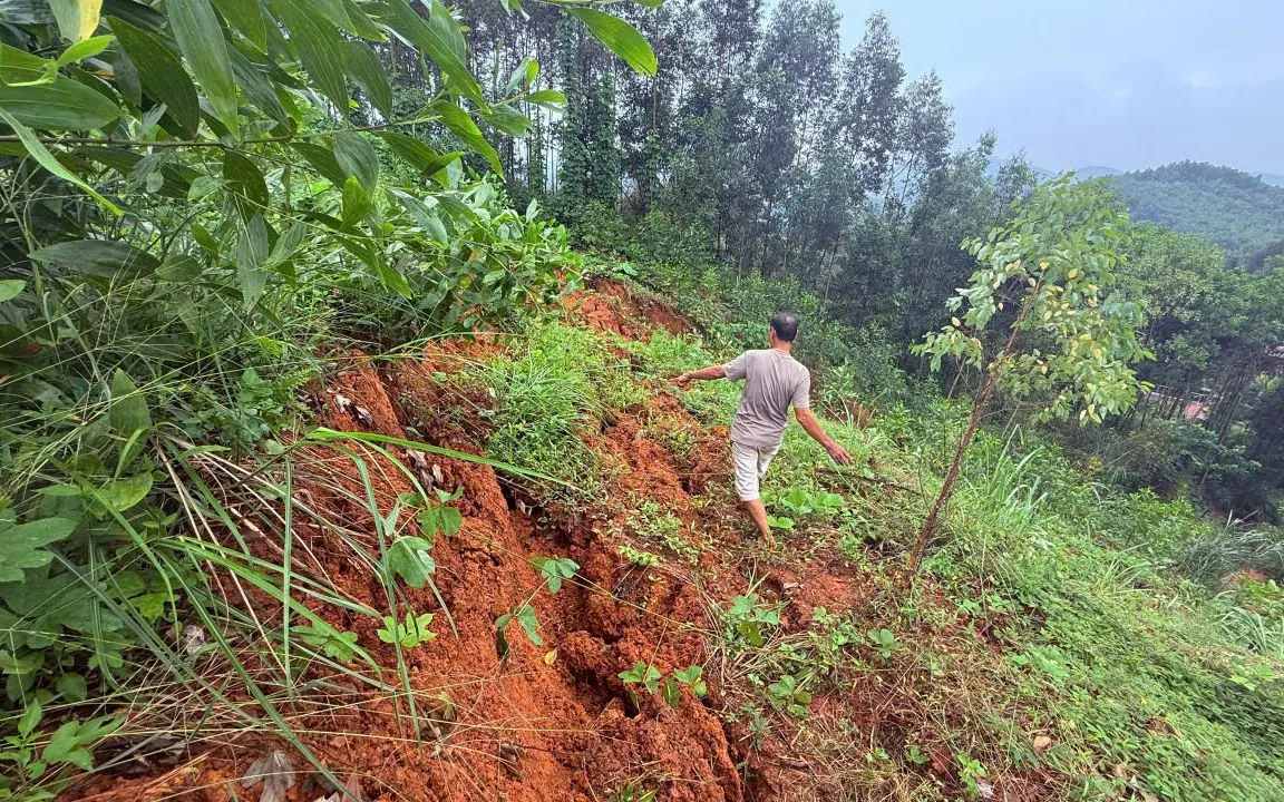 Thực trạng những vết sụt tại bãi thải của mỏ sắt Trại Cau Thực trạng những vết sụt tại bãi thải của mỏ sắt Trại Cau