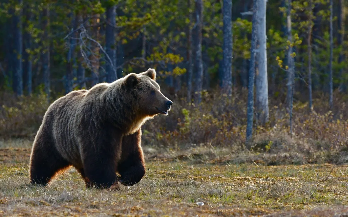 (Ảnh minh hoạ: Unsplash)