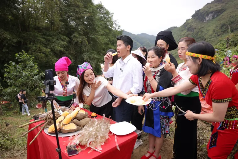 300 tấn khoai sâm đất được tiêu thụ qua TikTok Shop sau 2 tháng - Ảnh 1.