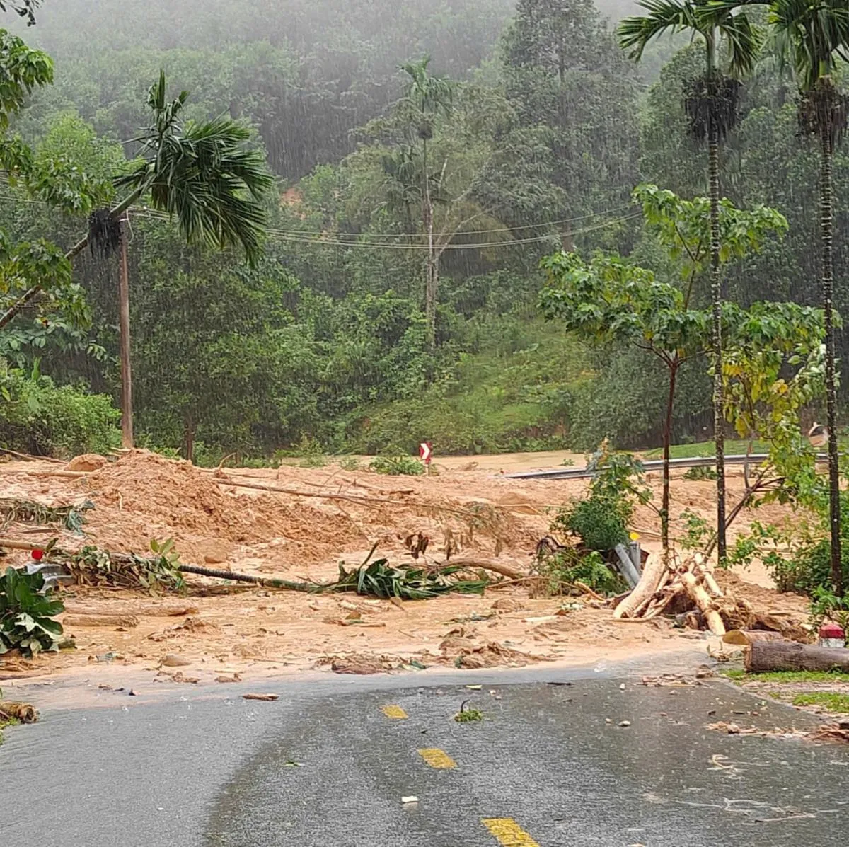 Sạt lở quả đồi ở Đà Nẵng, hàng nghìn mét khối đất đá đổ ập xuống Quốc lộ 40 B  - Ảnh 1.