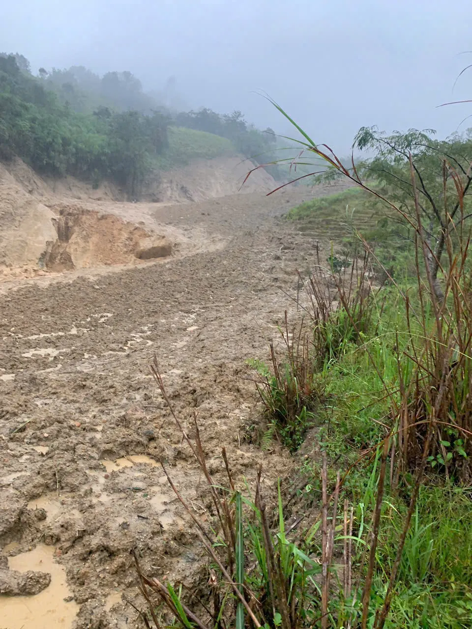 Núi lở gây lũ bùn ở Quảng Ngãi: Hơn 1.700 người bị cô lập- Ảnh 2.