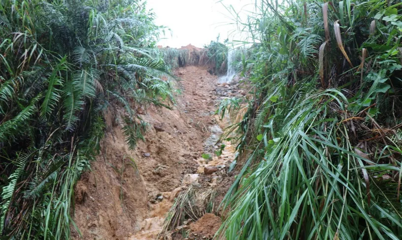 Mở đường mòn qua núi tiếp cận 5 thôn bị cô lập ở Quảng Ngãi- Ảnh 2.