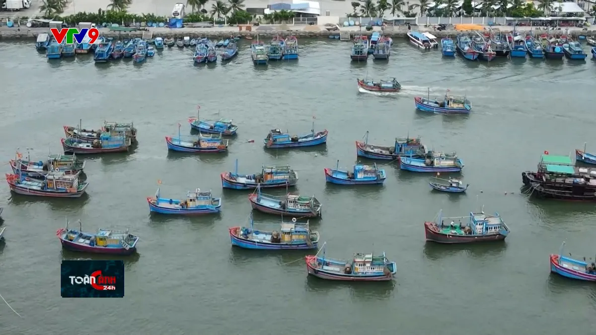 Tăng trách nhiệm kiểm soát tàu cá IUU Tăng trách nhiệm kiểm soát tàu cá IUU