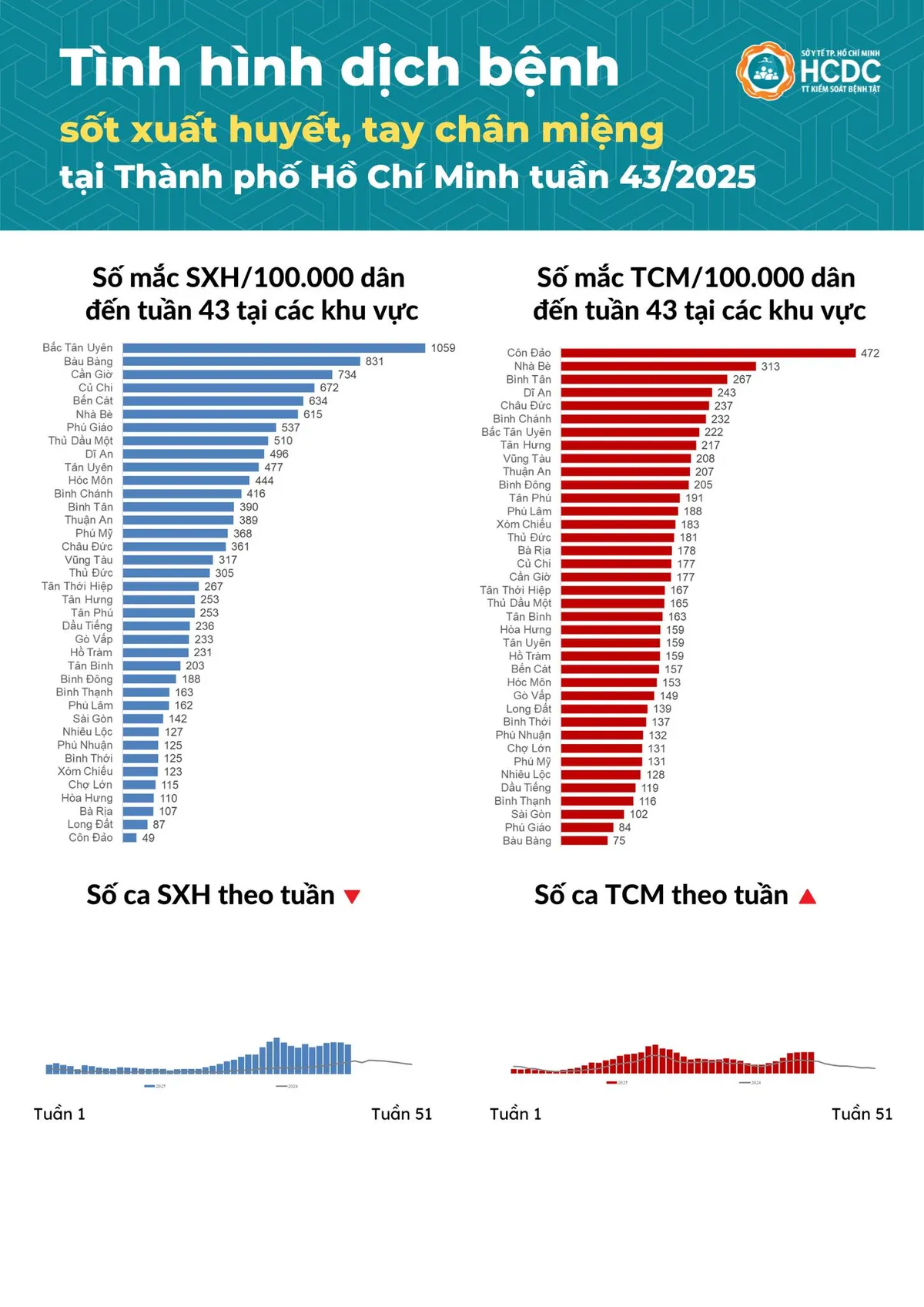 TP Hồ Chí Minh ghi nhận thêm hơn 3.100 ca sốt xuất huyết và tay chân miệng- Ảnh 1.