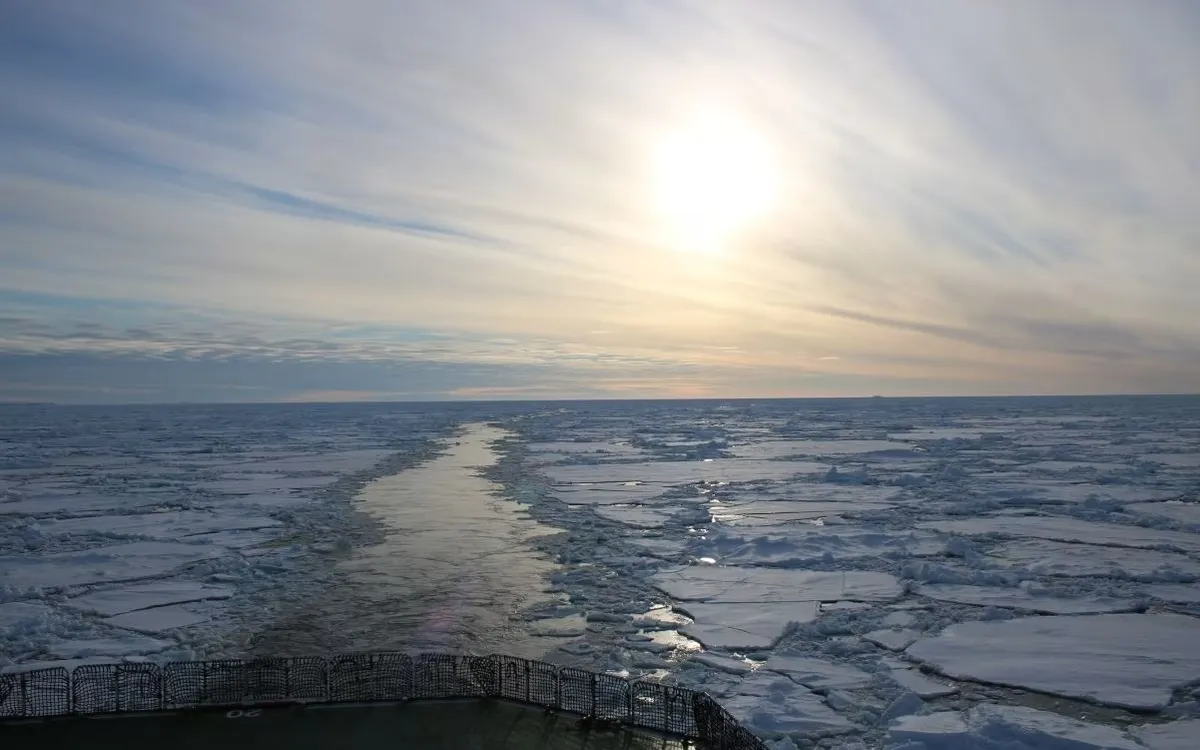 Băng biển bao phủ phần lớn vùng biển Weddell ở Nam Cực (Ảnh: Weddell Sea Expedition 2019)