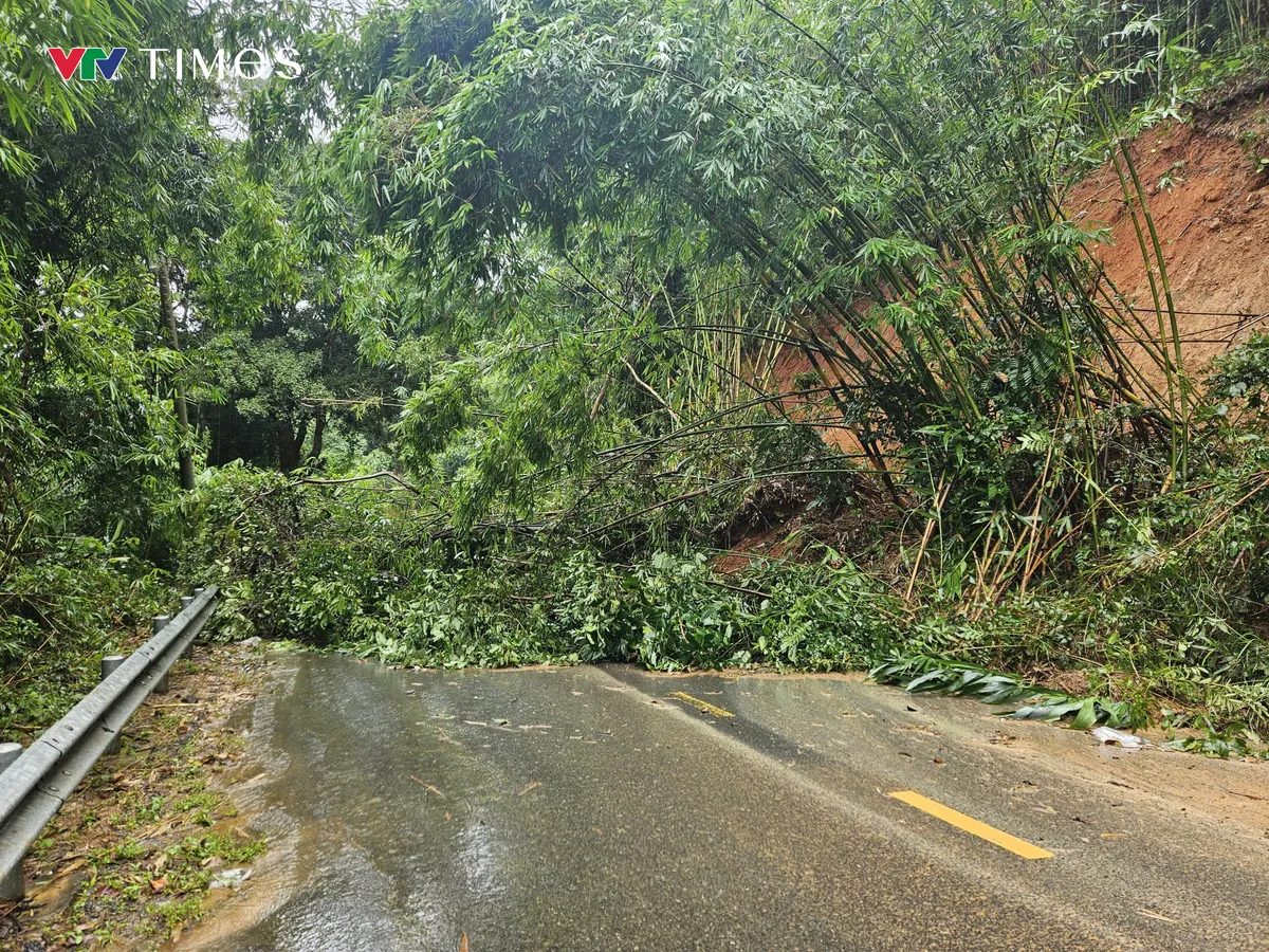 Lâm Đồng: Đèo Gia Bắc lại tiếp tục sạt lở, sụt lún nghiêm trọng - Ảnh 4.