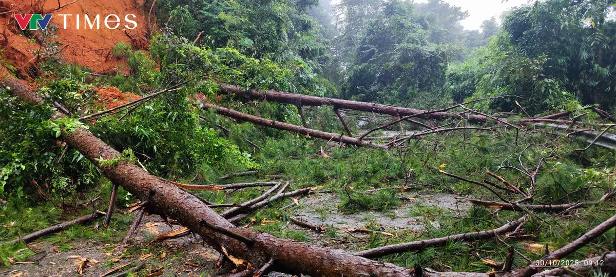 Lâm Đồng: Đèo Gia Bắc lại tiếp tục sạt lở, sụt lún nghiêm trọng - Ảnh 1.