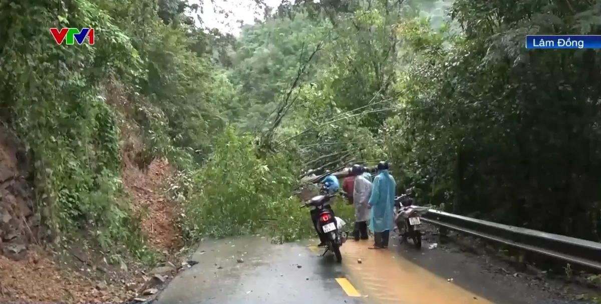 Nguy cơ sạt lở tr&ecirc;n c&aacute;c đ&egrave;o Nam T&acirc;y Nguy&ecirc;n - Ảnh 1.