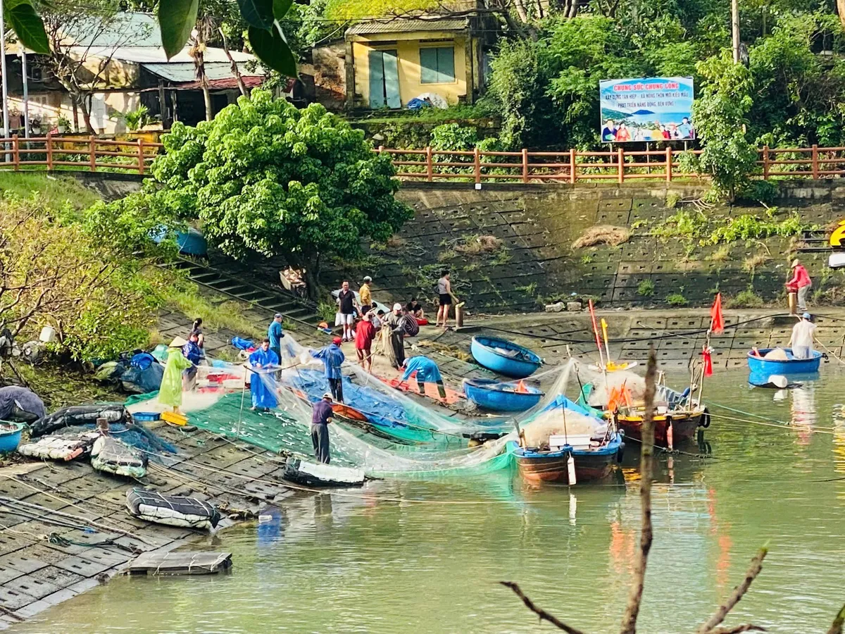 Ngư dân Cù Lao Chàm phấn khởi đón mẻ lưới cá trích đầu mùa sau bão lũ - Ảnh 1.