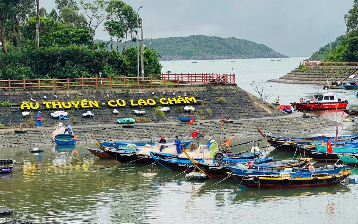 Ngư dân Cù Lao Chàm phấn khởi đón mẻ lưới cá trích đầu mùa sau bão lũ.