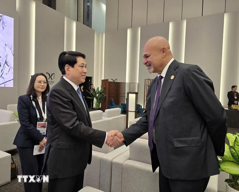 Tuần lễ Cấp cao APEC 2025: Chủ tịch nước Lương Cường gặp lãnh đạo một số thành viên APEC - Ảnh 1.