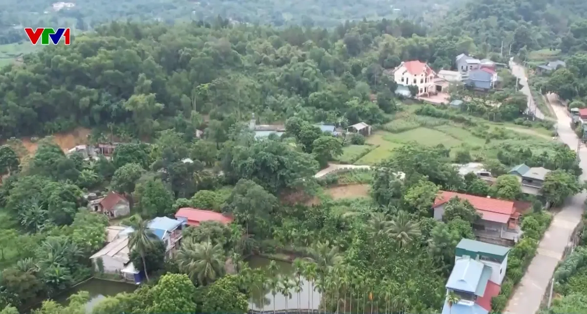 Nhiều diện tích đất có sổ đỏ ở Hà Nội biến thành đất rừng - Ảnh 1.