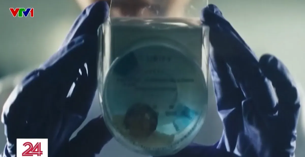 Thiết bị tẩy bồn cầu x&aacute;c định bệnh thận qua nước tiểu - Ảnh 1.