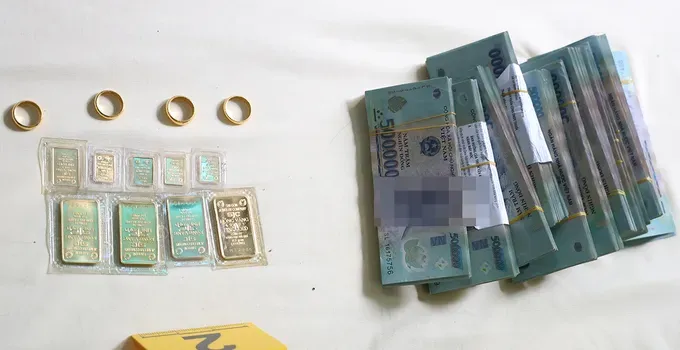 Dọn dẹp nhà giúp cô chồng, cháu dâu trộm 500 triệu đồng và 10 cây vàng - Ảnh 2.