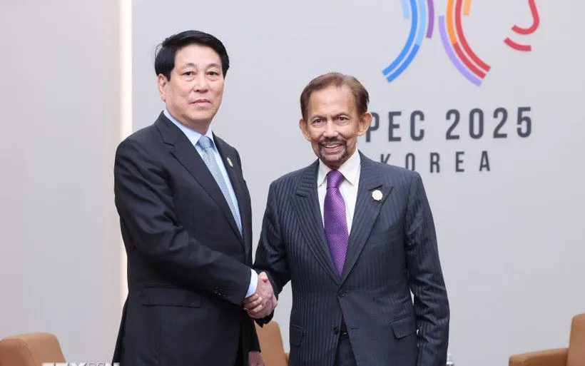 Chủ tịch nước Lương Cường gặp Quốc vương Brunei Hassanal Bolkiah. (Ảnh: TTXVN)