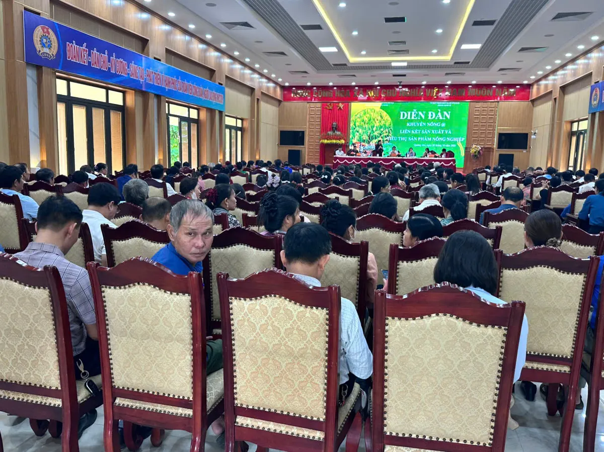 Kết nối sản xuất – tiêu thụ: Hướng đi bền vững cho nông nghiệp cơ sở - Ảnh 4.