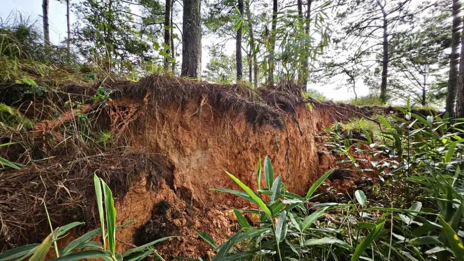Chủ tịch tỉnh Lâm Đồng kiểm tra, chỉ đạo khắc phục khẩn cấp các điểm sạt lở nghiêm trọng trên đèo D’ran - Ảnh 2.