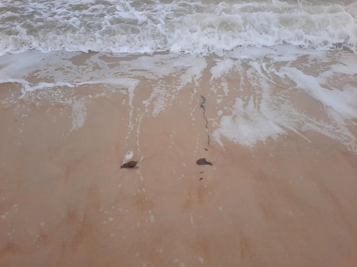 Phát hiện 8 quả bom mìn lộ thiên sau mưa lũ - Ảnh 2.