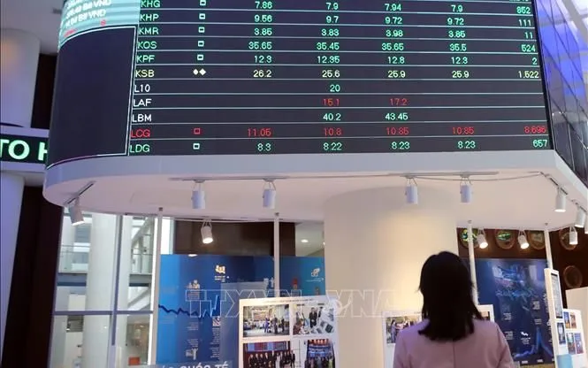 Nhà đầu tư theo dõi diễn biến thị trường chứng khoán. Ảnh tư liệu: Hứa Chung/TTXVN