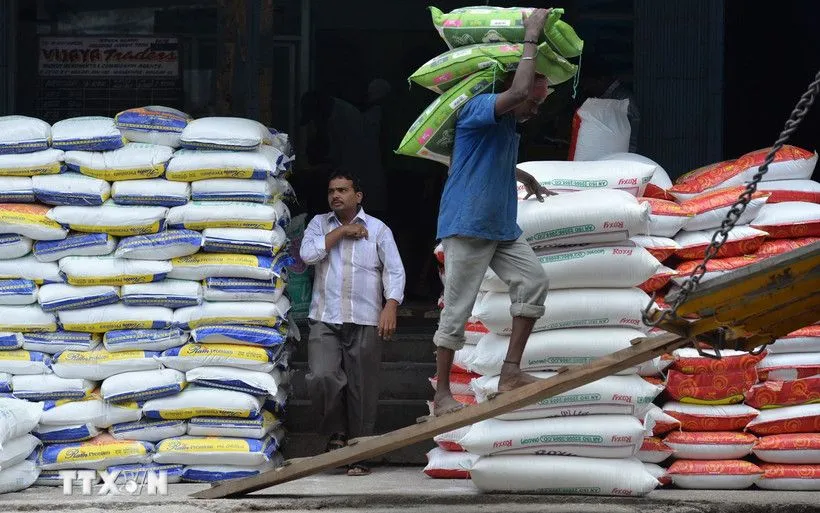 Công nhân vận chuyển gạo tại nhà kho ở Bangalore, Ấn Độ. (Ảnh: AFP/TTXVN)